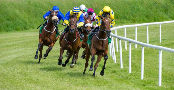Bookie to pay back affected punters
