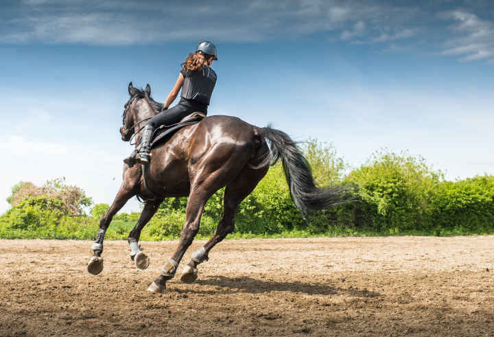 Horse back riding worlds toughest sports