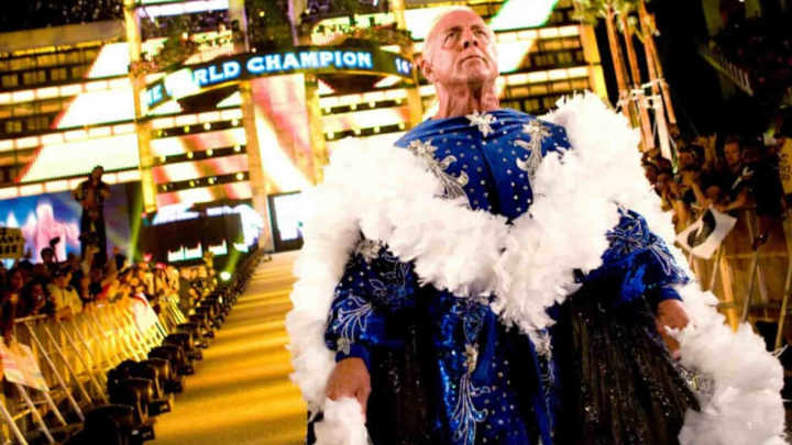 Famous wwe wrestlers ric flair