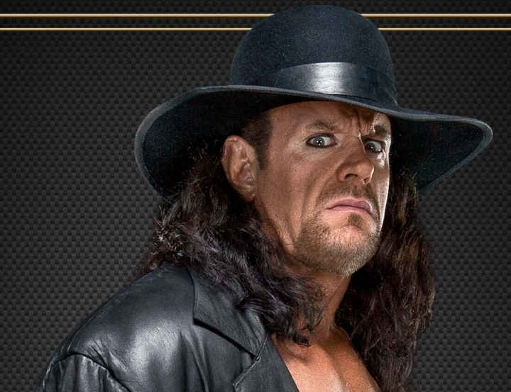 famous wwe wrestlers the undertaker